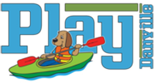 Play Danville logo